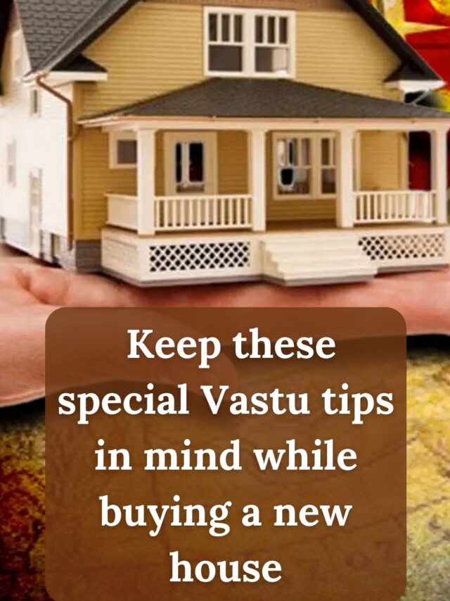 Keep these special Vastu tips in mind while buying a new house