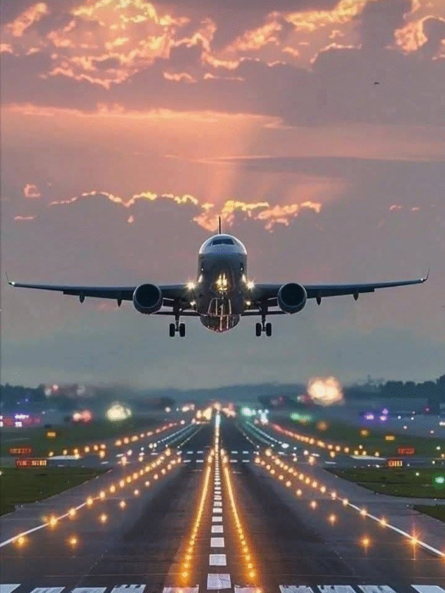 अगर हवा में खुल जाए प्लेन का Exit गेट तो क्या होगा? क्या प्लेन के टुकड़े हो जाएंगे?