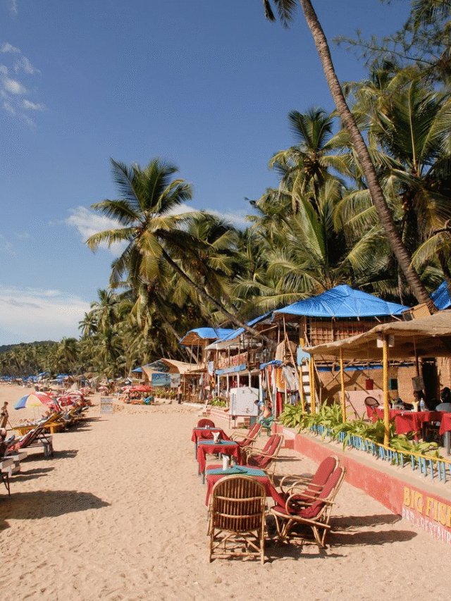 Goa to launch land survey after 50 years to update its records