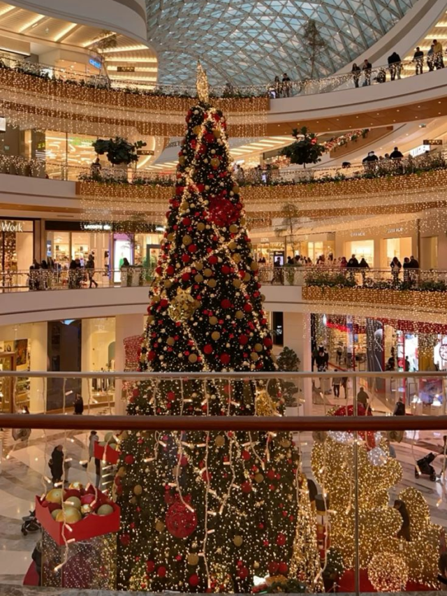 Christmas in Delhi: 7 Stops, One Magical Journey