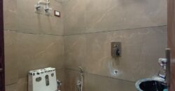 Spacious 3 BHK Flat with Common Terrace Garden in Delhi